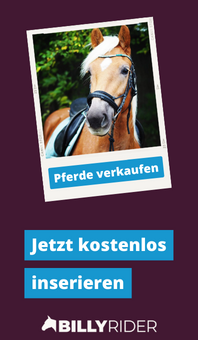 Pferde kaufen & verkaufen - Jetzt kostenlos inserieren!