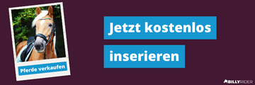 Pferde kaufen & verkaufen - Jetzt kostenlos inserieren!