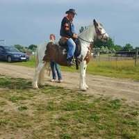Profilbild
