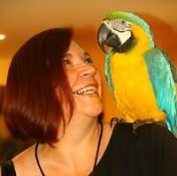 Profilbild