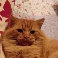 Profilbild