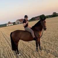 Profilbild