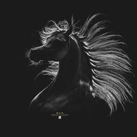 Profilbild Schindler Claudia-Katalin