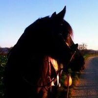 Profilbild Sabine