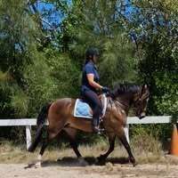 Profilbild