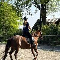 Profilbild