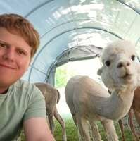 Profilbild