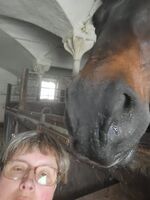 Profilbild