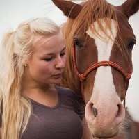 Profilbild