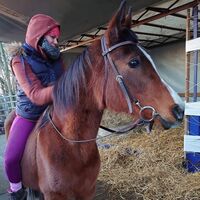 Profilbild M. Sieler