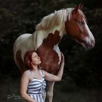 Profilbild