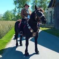 Profilbild