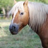 Profilbild