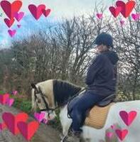 Profilbild