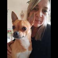 Profilbild Renate Blümel