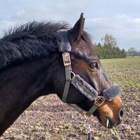Profilbild Heike