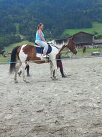 Profilbild