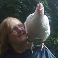 Profilbild