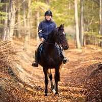 Profilbild