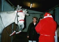 Profilbild Astrid Grimm