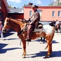 Profilbild