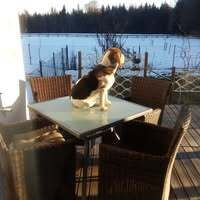 Profilbild