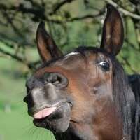 Profilbild Melanie