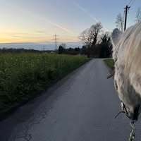 Profilbild