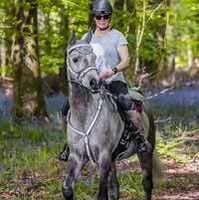 Profilbild