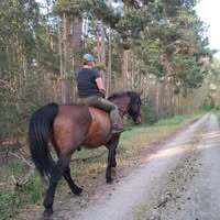 Profilbild