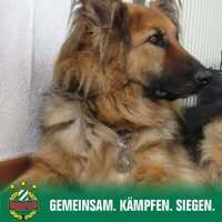 Profilbild