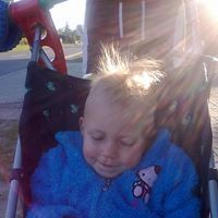 Profilbild