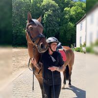 Profilbild