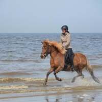 Profilbild Lorene Van den Baard