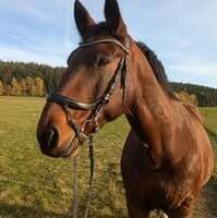 Profilbild