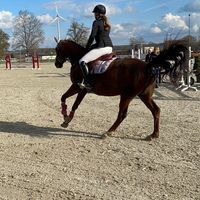 Profilbild