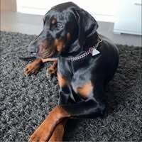 Profilbild