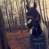 Profilbild