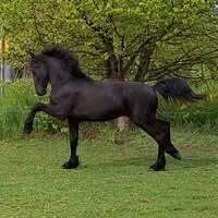Profilbild