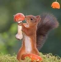 Profilbild