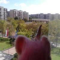 Profilbild