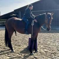 Profilbild