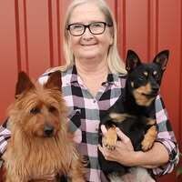 Profilbild