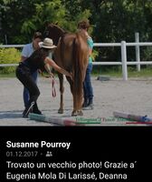 Profilbild Susanne Pourroy