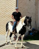 Profilbild
